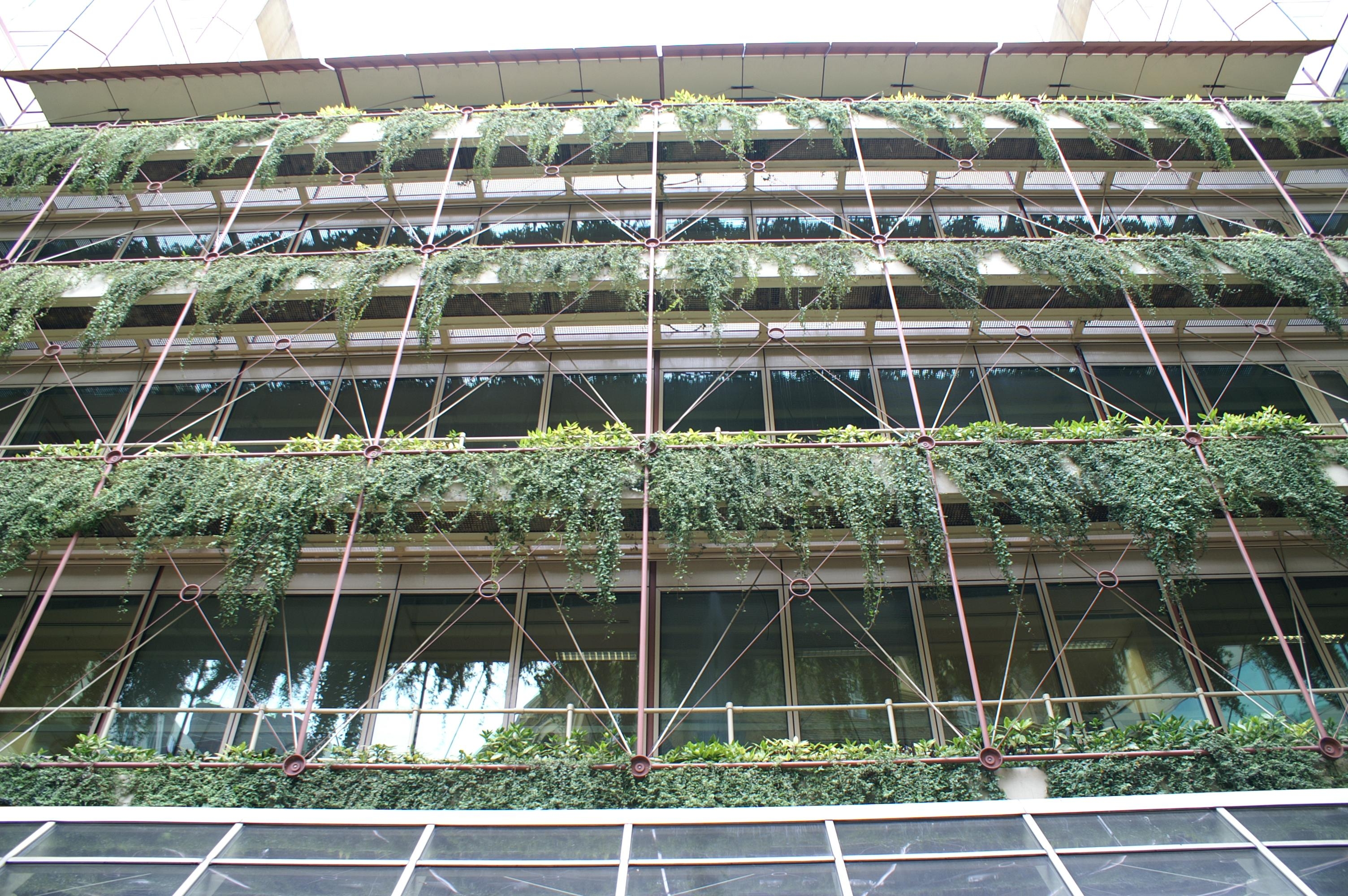 A facade mounted trough based hanging wall, Cotton Centre, London