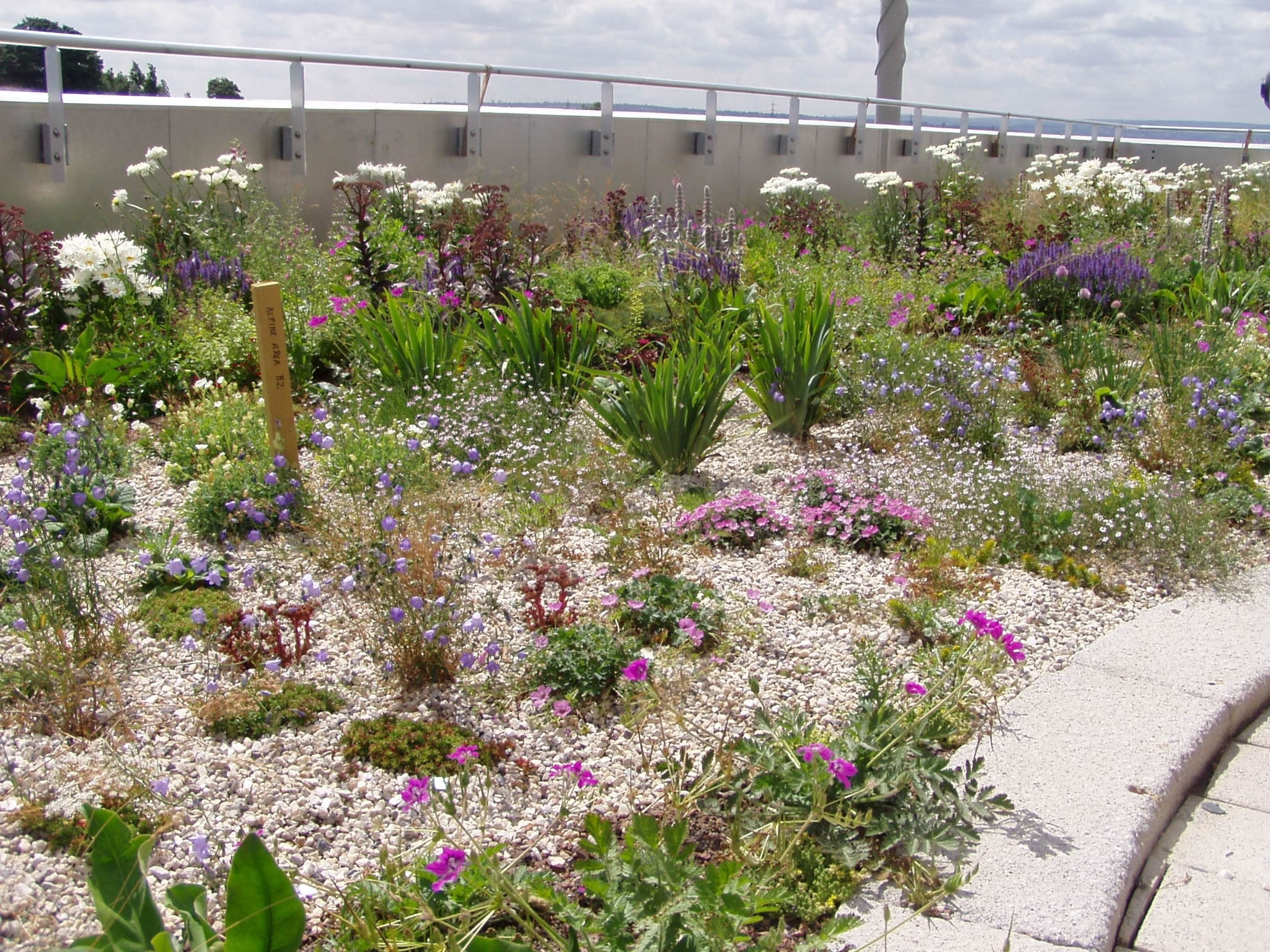 Simple intensive green roof (courtesy N Dunnett)