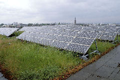 green roof