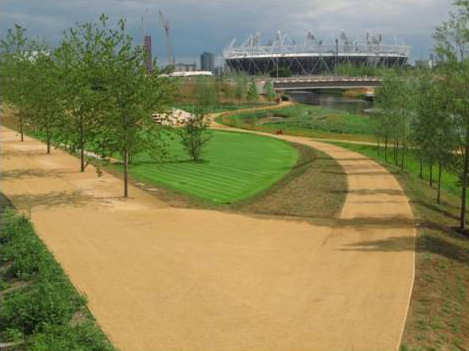 wetland area